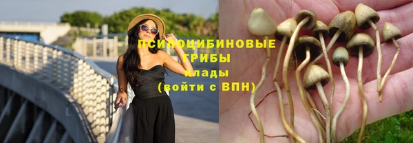 синтетический гашиш Киреевск