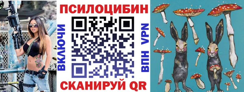 Купить где  Джанкой  Галлюциногенные грибы Cubensis 
